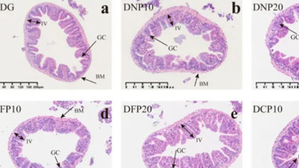 玩彩网·「中国区」官方网站
