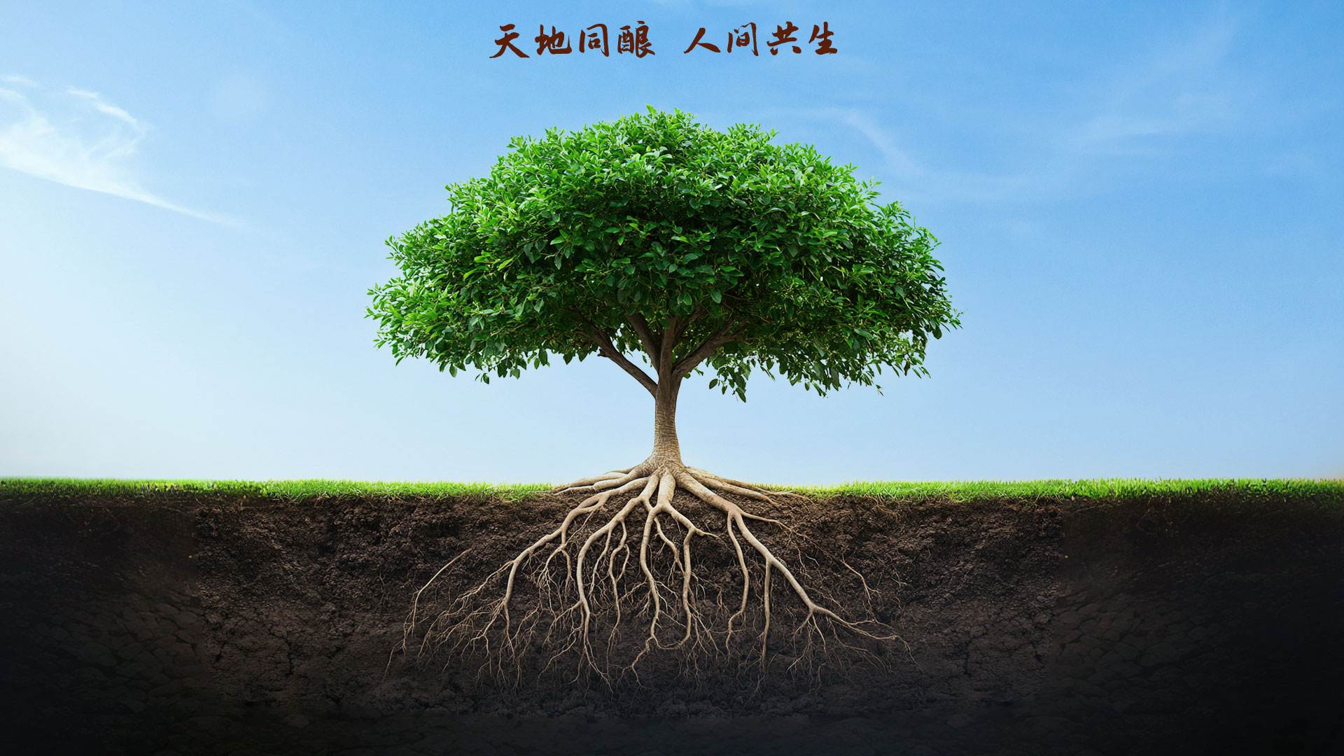 玩彩网·「中国区」官方网站